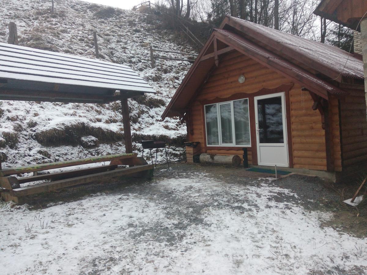 Edelveys Hotel Ворохта Екстериор снимка