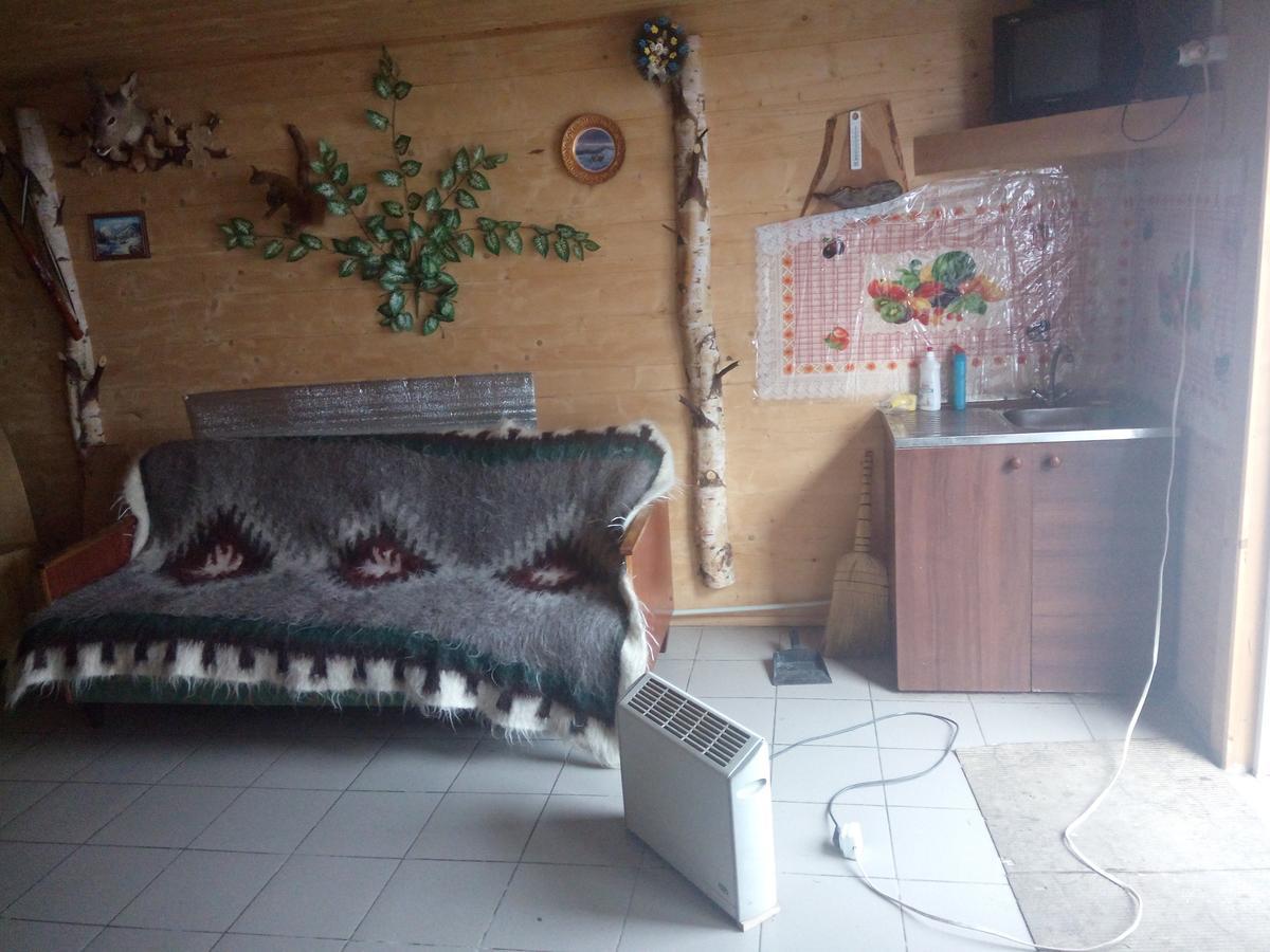 Edelveys Hotel Ворохта Екстериор снимка