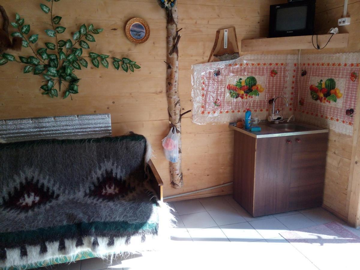 Edelveys Hotel Ворохта Екстериор снимка